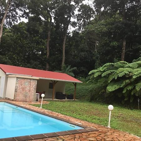 Les Lucioles 1 Beau T2 En Foret Tropicale Avec Acces Piscine Saint-Joseph Экстерьер фото