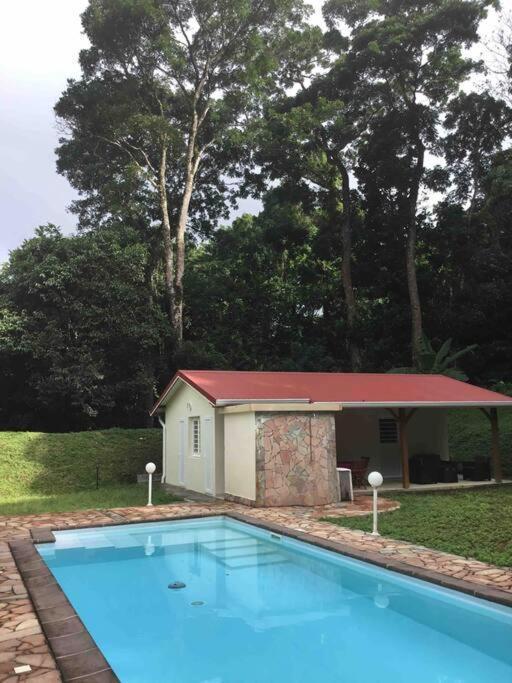 Les Lucioles 1 Beau T2 En Foret Tropicale Avec Acces Piscine Saint-Joseph Экстерьер фото