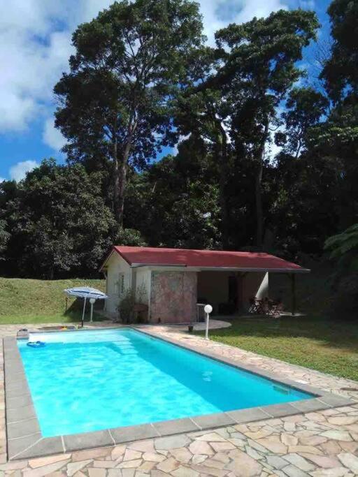 Les Lucioles 1 Beau T2 En Foret Tropicale Avec Acces Piscine Saint-Joseph Экстерьер фото